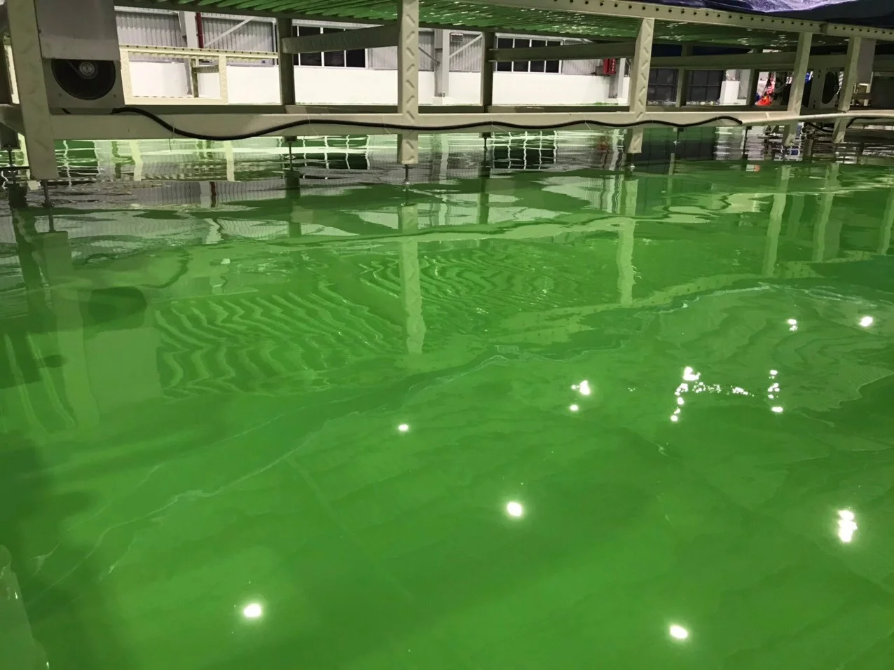 Thi công sơn epoxy tự san phẳng thực phẩm Relifoods Thi công sơn epoxy tự san phẳng thực phẩm Relifoods
