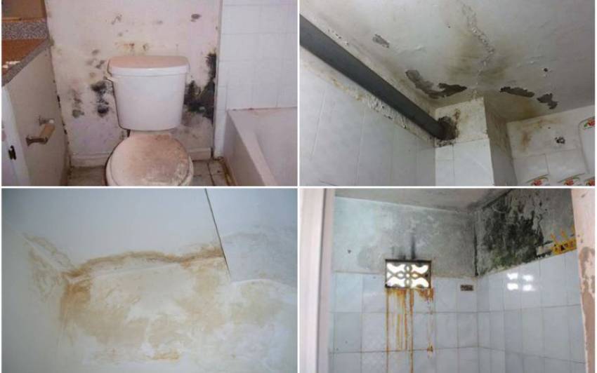 Cách Xử Lý Nhà Vệ Sinh Bị Thấm Nước Xuống Tầng Dưới Hiệu Quả Cách Xử Lý Nhà Vệ Sinh Bị Thấm Nước Xuống Tầng Dưới Hiệu Quả