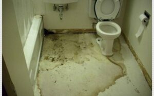 Cách Xử Lý Nhà Vệ Sinh Bị Thấm Nước Xuống Tầng Dưới Hiệu Quả